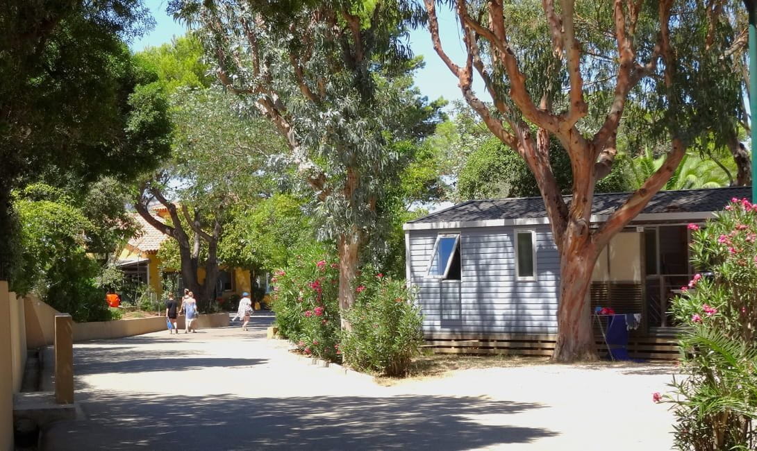 allee principale mobile homes camping la Presqu'île de Giens