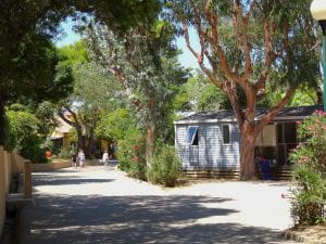 allee principale mobile homes camping la Presqu'île de Giens