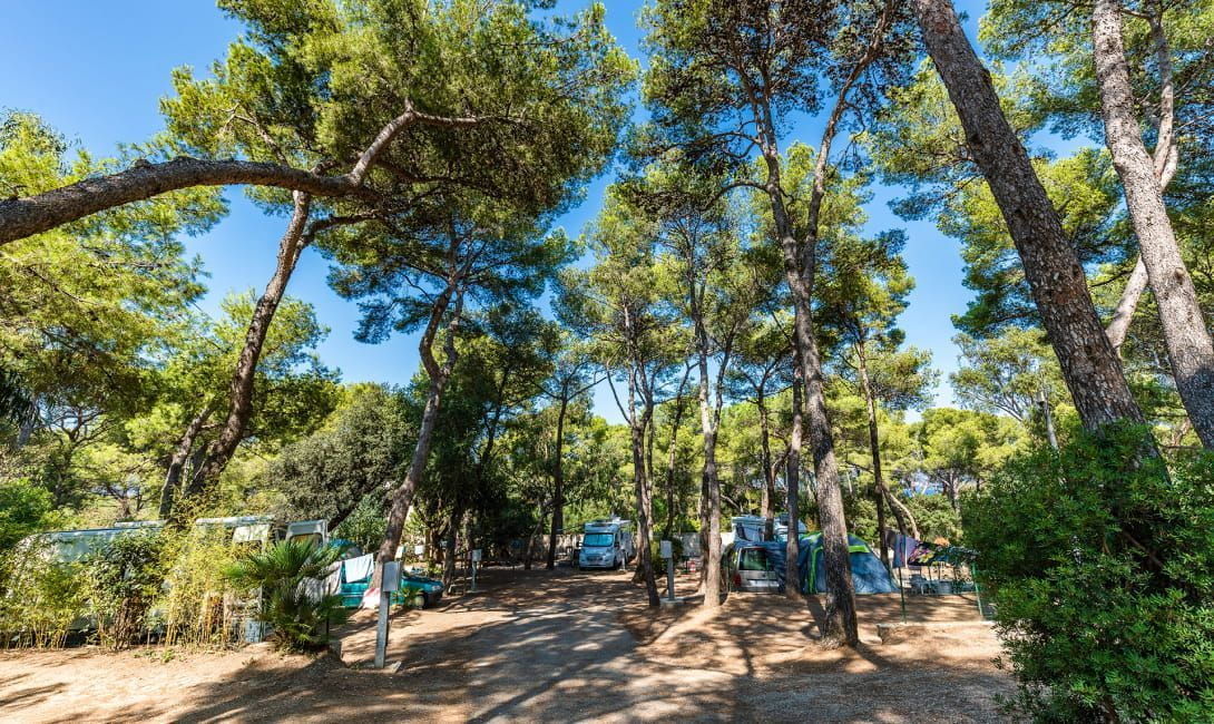 Dans le Camping Olbia
