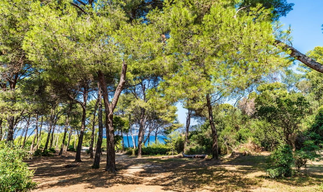 Le parc des chevaliers camping olbia nature