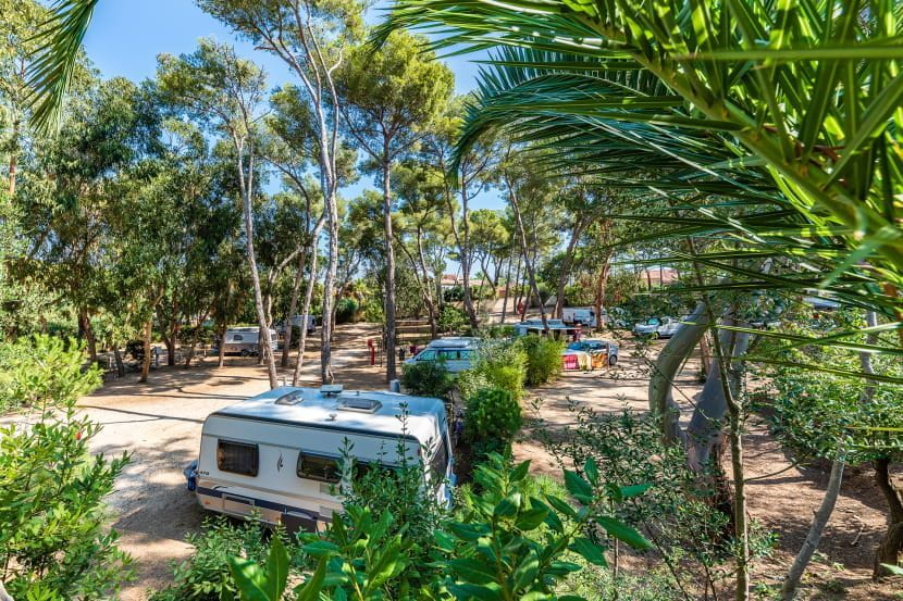 vacances giens olbia camping nature