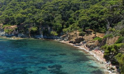 Plage des Darboussières