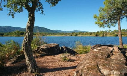 Plaine des Maures et Lac des Escarcets