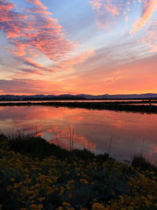 Les salins de Hyères