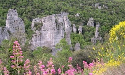 Randonnée - Les Aiguilles de Valbelle