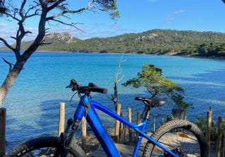 Location de vélos - Porquerolles